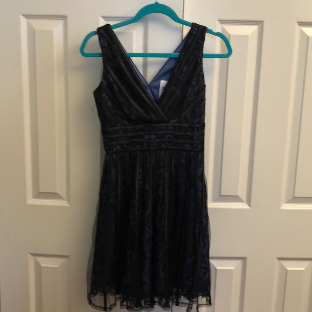 Lace V-Neck Fit and Flare Dress